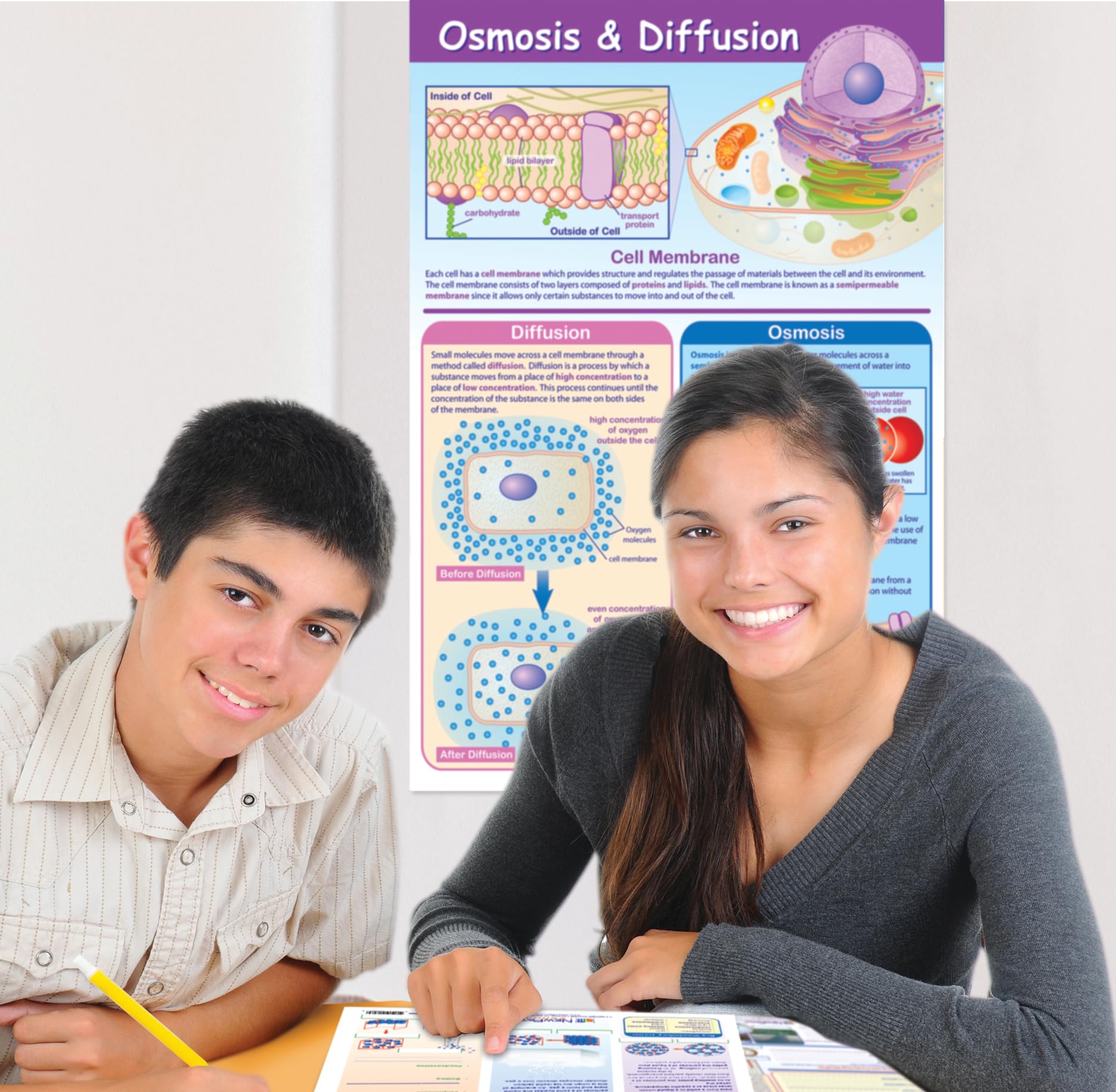 NewPath Osmosis & Diffusion Poster - Laminated, Full-Color, 23